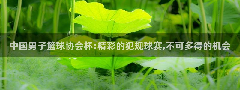 中国男子篮球协会杯:精彩的犯规球赛,不可多得的机会