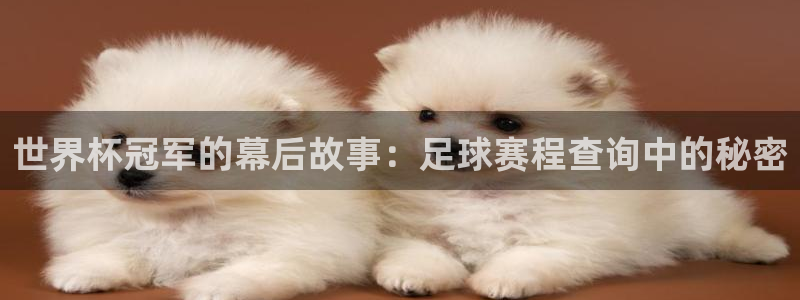 沙巴官网体育：世界杯冠军的幕后故事：足球赛程查询中的秘密
